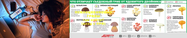 метадон Алексин